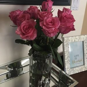 Meet your Posher, Adriana